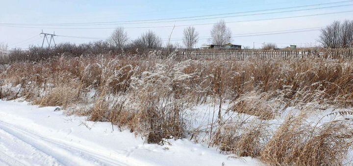 Участок 10 сот. (СНТ, ДНП)