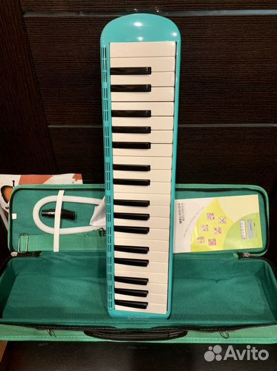 Мелодика + кейс (комплект)