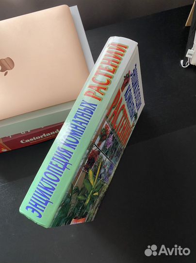 Энциклопедия комнатных растений С.Л.Быховец