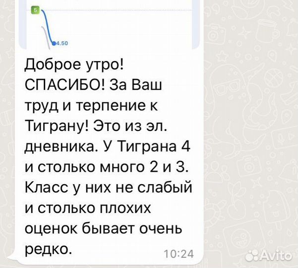 Репетитор по русскому и английскому языкам