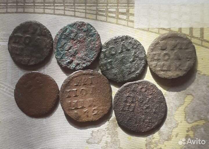 Врп полушки Петр 1