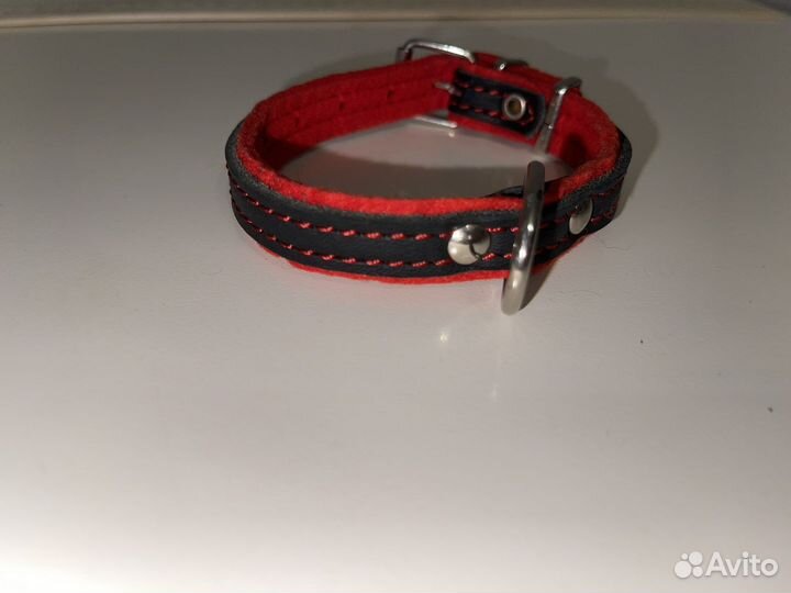 Ошейник для маленькой собаки