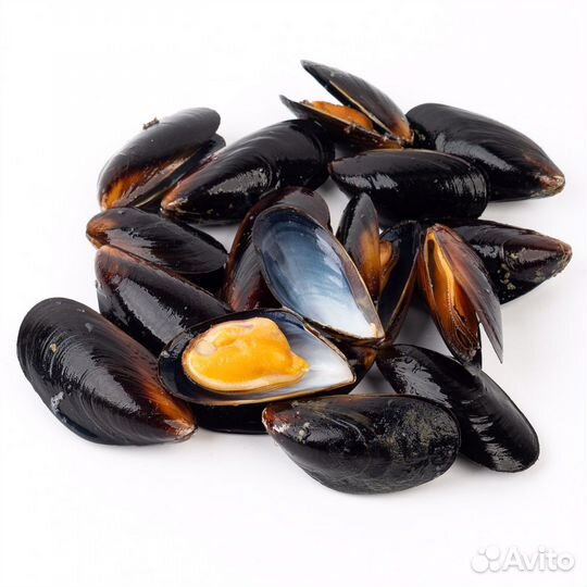 Мидии в раковине целые
