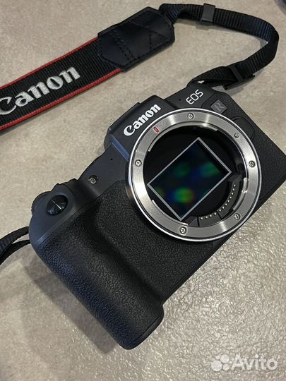 Canon eos rp