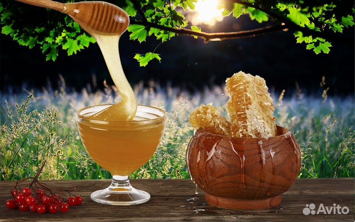 Мёд и пчелопродукты