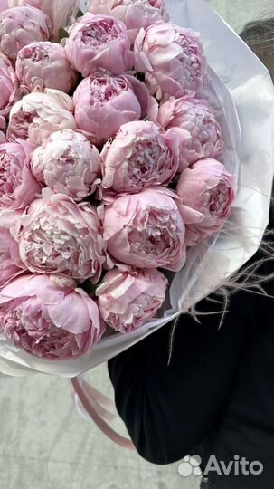 Букет из пионов. 31 штука