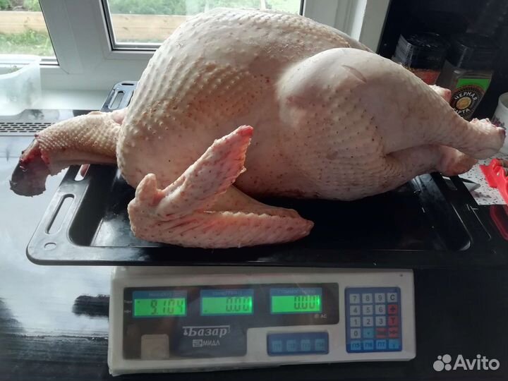 Мясо домашней индейки
