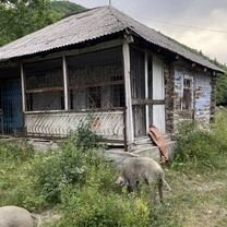 Дом (Южная Осетия), Дзау