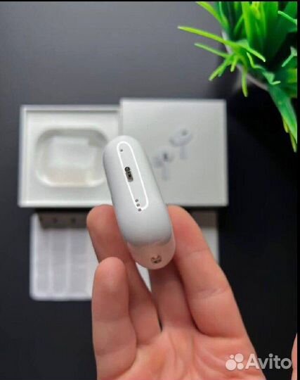 Звуки и видения: мир вашего выбора