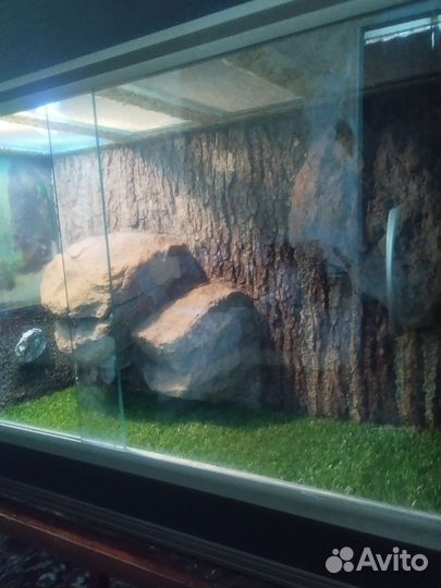 Террариум для рептилий б/у