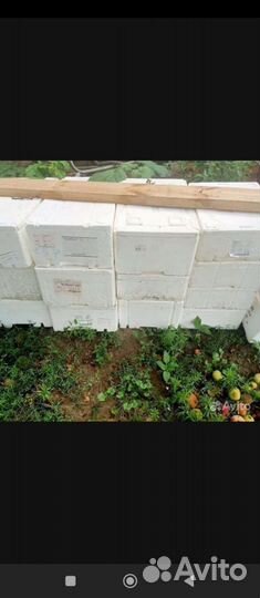 Термоконтейнер