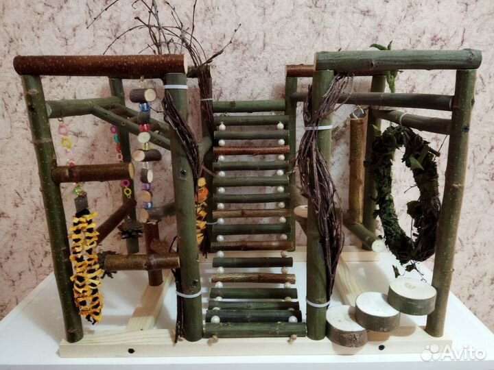 Стенд для попугая