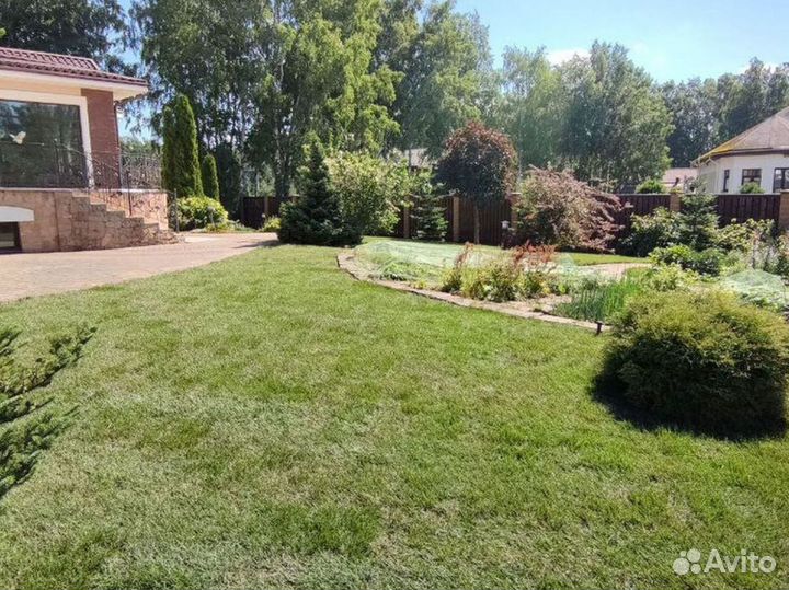 Отличный газон под ключ