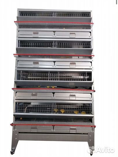 Клетка для Перепелов-Несушек