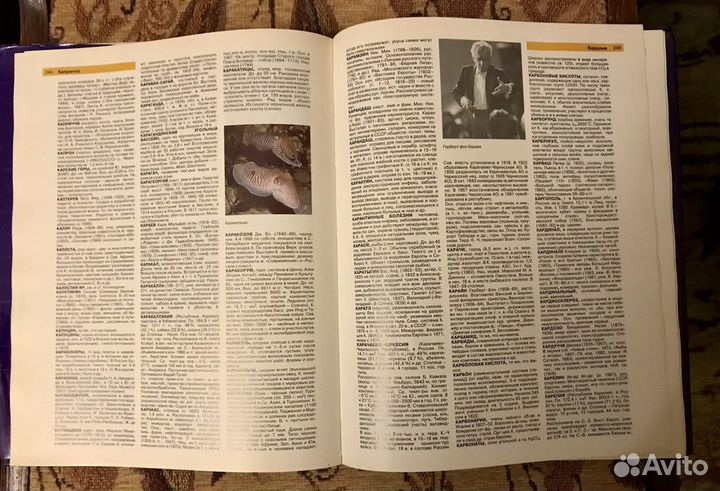 Энциклопедический словарь