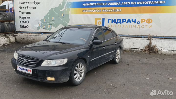 Накладка порога внутренняя передняя правая Hyundai Grandeur (TG) 858813L001WK