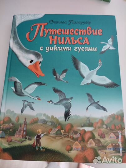 Книга Холодное Сердце