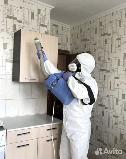 Уничтожение насекомых,клопов тараканов Дезинсекция