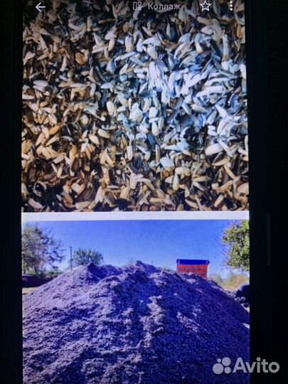 Лузга, шелуха подсолнечника