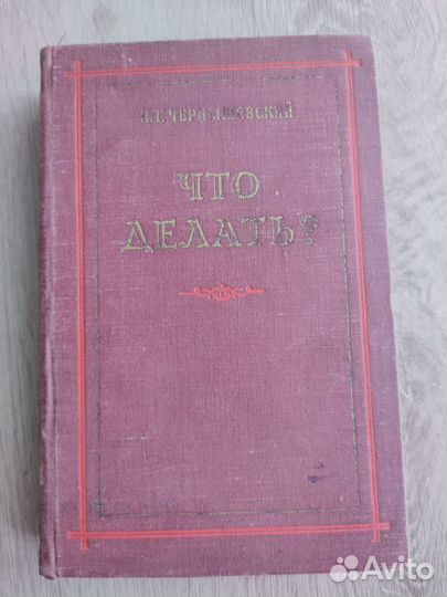 Чернышевский. Что делать