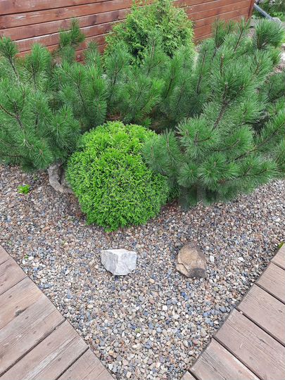 Дача 60 м² на участке 10 сот.