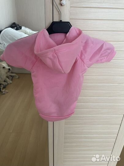 Одежда для собак