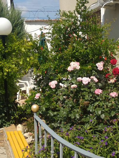 Дом 60 м² на участке 1 сот.