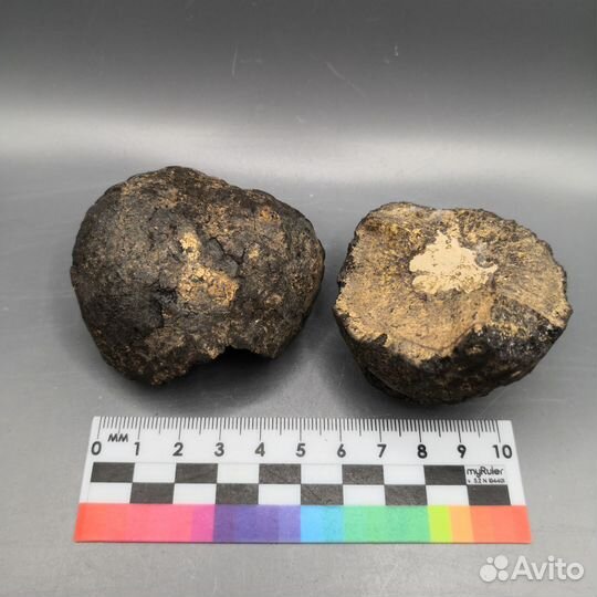 Конкреция фосфорита, Россия