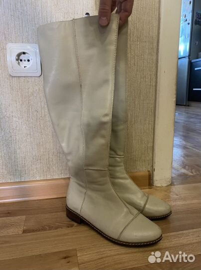 Сапоги осень -весна