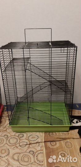 Клетка, крысята, корм, поилка, кормушка, домик