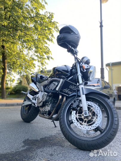 Honda hornet