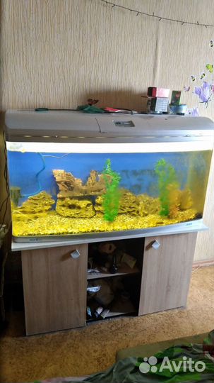 Аквариум jebo 289 литров с тумбой