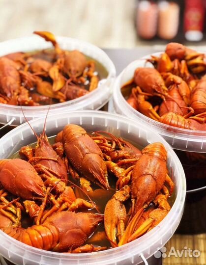 Раки живые, Раки вареные с доставкой