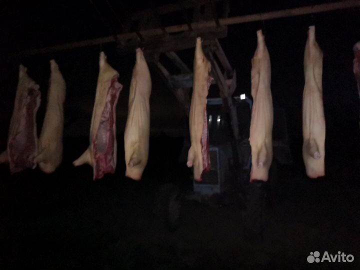 Мясо свинина домашняя