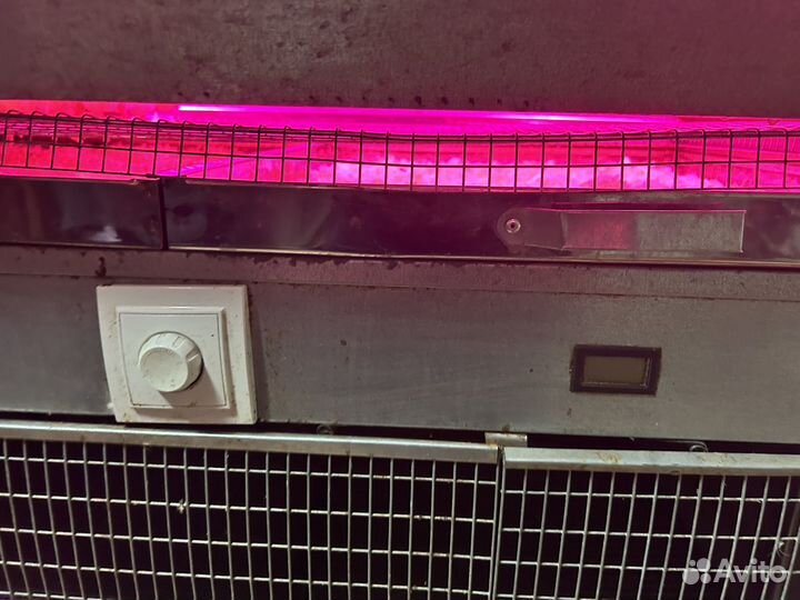 Брудер для цыплят бу