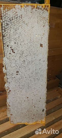 Рамки для пчел