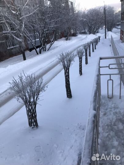 Плетеные деревья