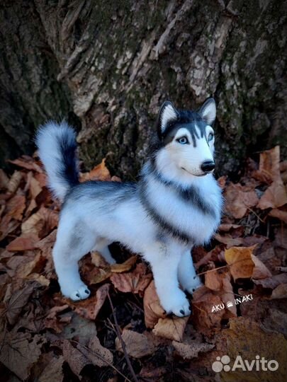 Собака Хаски игрушка ручная работа