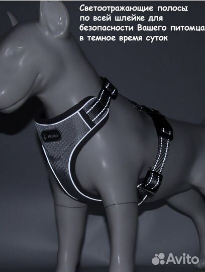 Шлейка для собак Mirestra