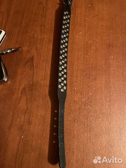 Ошейник для собак