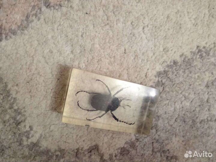 Насекомые в смоле(вроде как)