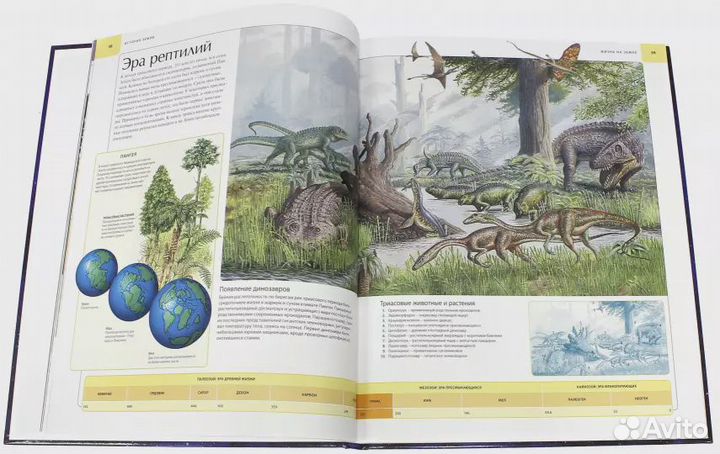 Иллюстрированный атлас. Земля. Аллаби Майкл