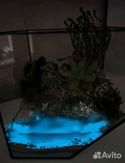 Флорариум подарок 1 сентября