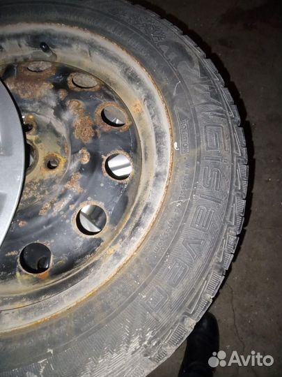 Gislaved Nord Frost 5 185/65 R15