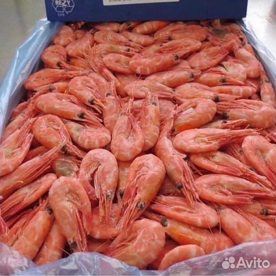 Креветки Северные оптом