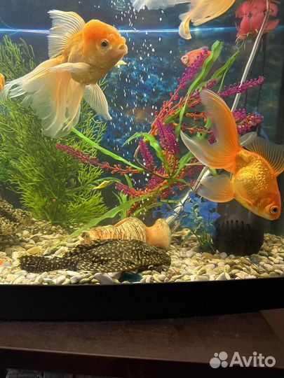 Украшение для аквариума