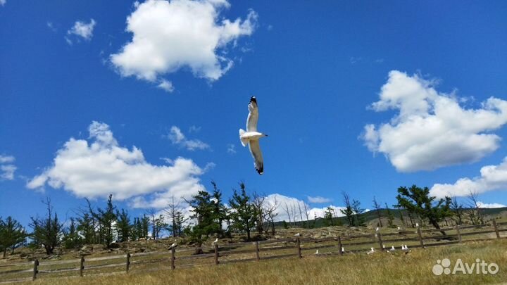 Администратор на базу отдыха