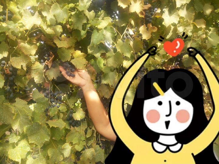 Дача 15 м² на участке 8 сот.