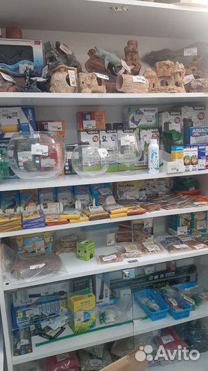 Товары для животных