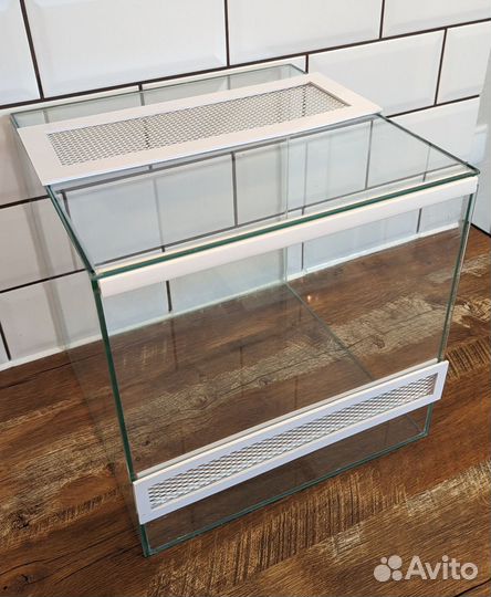 Террариум, паучатник